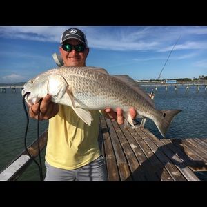 Meet your Posher, Jerry